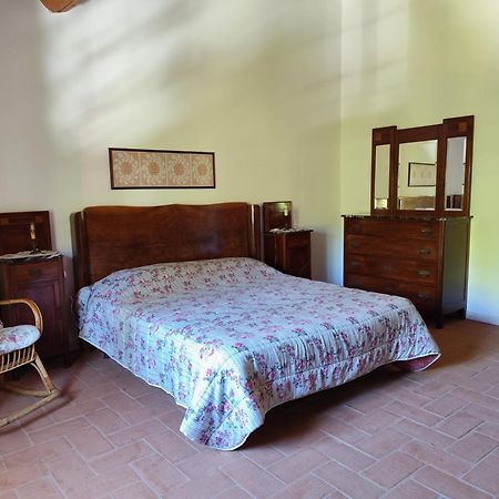 Casa Daria, Armonia Del Passato Nel Rispetto Della Natura Donoratico Eksteriør bilde