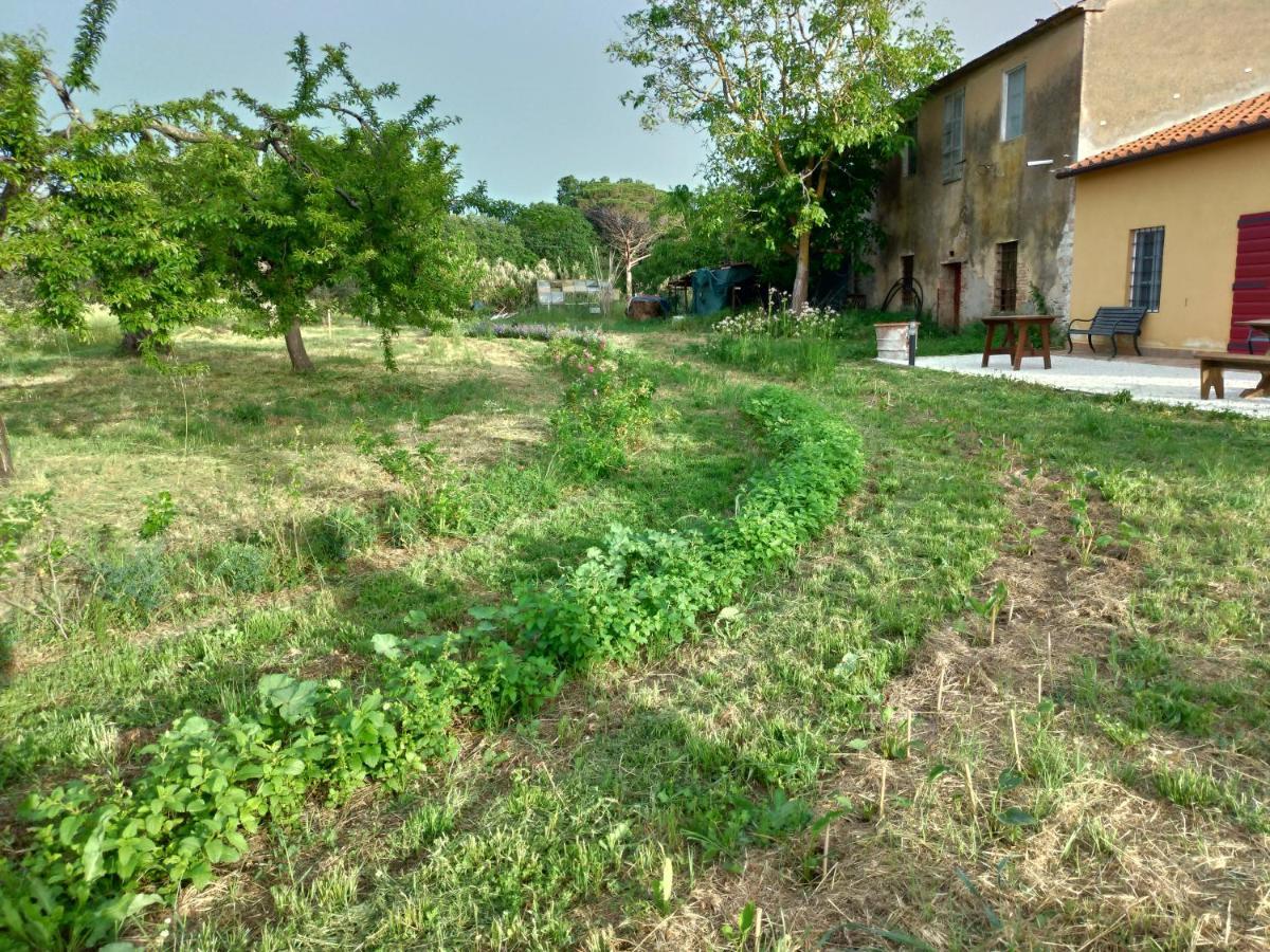 Casa Daria, Armonia Del Passato Nel Rispetto Della Natura Donoratico Eksteriør bilde