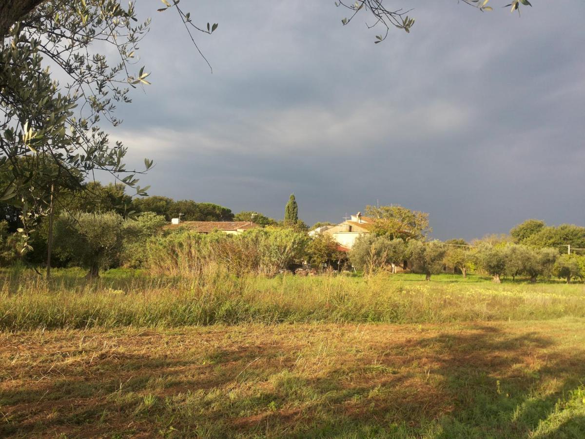 Casa Daria, Armonia Del Passato Nel Rispetto Della Natura Donoratico Eksteriør bilde