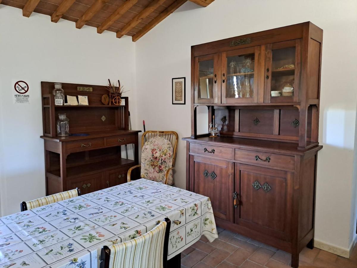 Casa Daria, Armonia Del Passato Nel Rispetto Della Natura Donoratico Eksteriør bilde