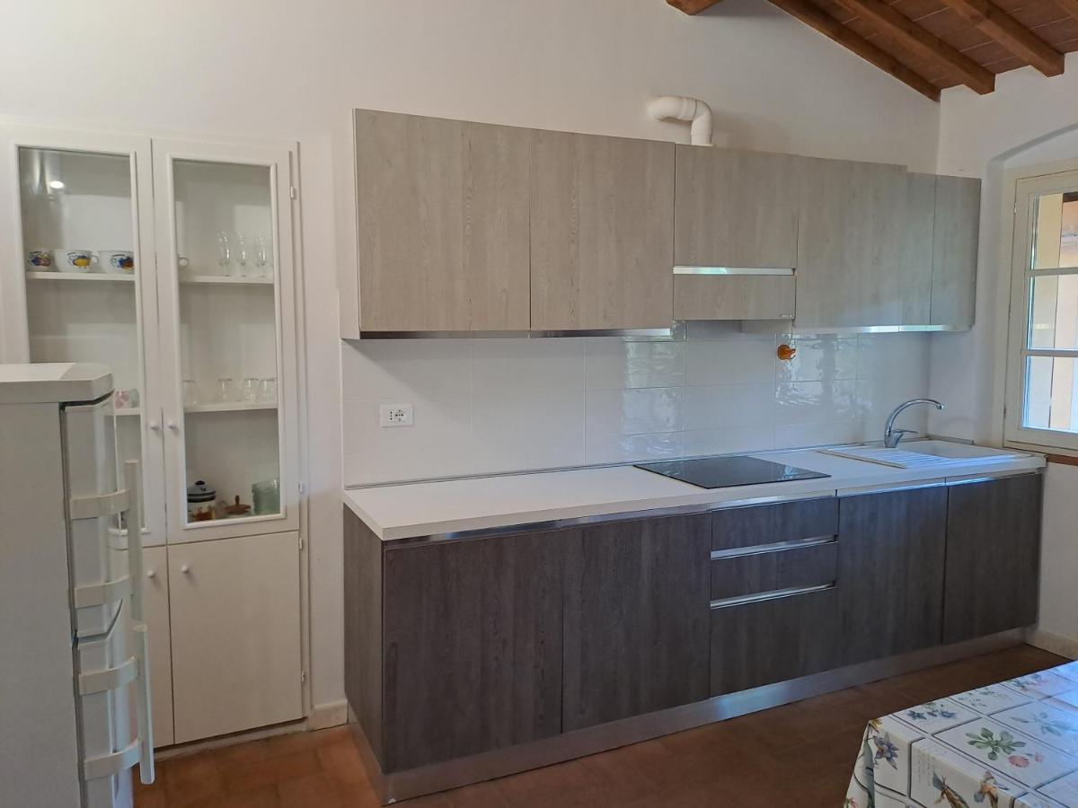 Casa Daria, Armonia Del Passato Nel Rispetto Della Natura Donoratico Eksteriør bilde